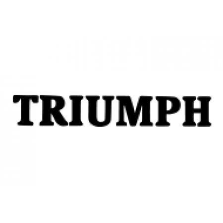 Изображение для категории TRIUMPH